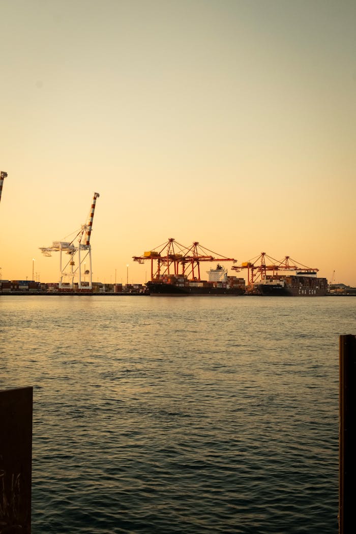 Container ships and cranes at Fremantle port during sunset, offering a serene maritime scene.
